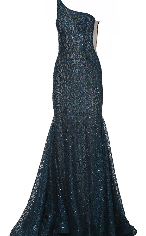 peacock lace sheath prom dress 3927