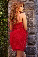 Back view of red Jovani 22913 dress, highlighting feather accents and beaded design.