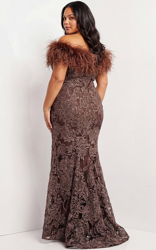 lace evening dress with feather neckline