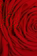 ruffled red fabric for style 39848