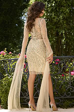 back view of Jovani 40111 nude dress with intricate beading and sheer sleeves
