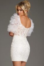 Lace Mini Dress with Tulle Puff Sleeves and Sheer Bodice