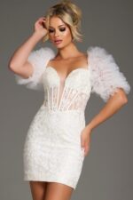 Lace Mini Dress with Tulle Puff Sleeves and Sheer Bodice