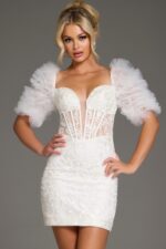 Lace Mini Dress with Tulle Puff Sleeves and Sheer Bodice