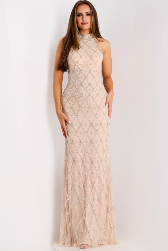 Elegant sleeveless mesh gown with silver embroidery and shimmer