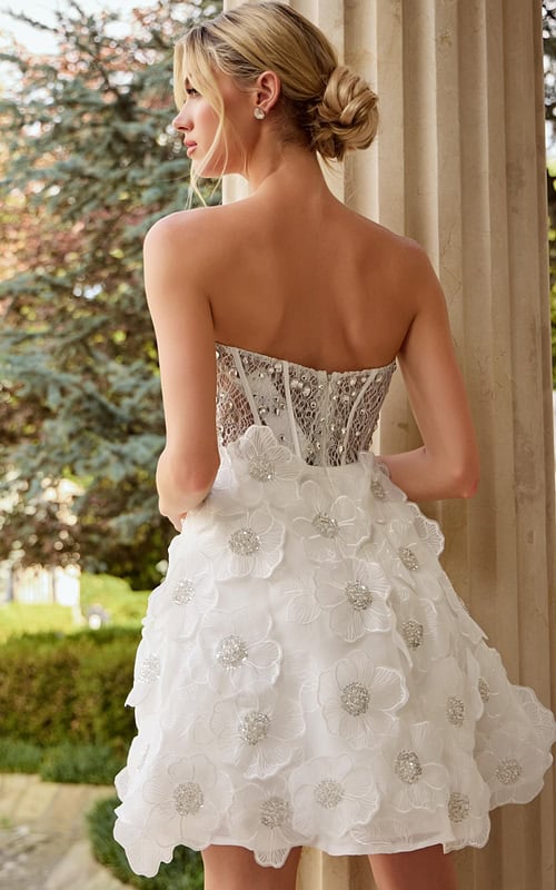 corset bodice sheer short dress 42299