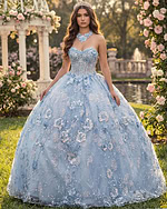 Blue embroidered tulle ball gown