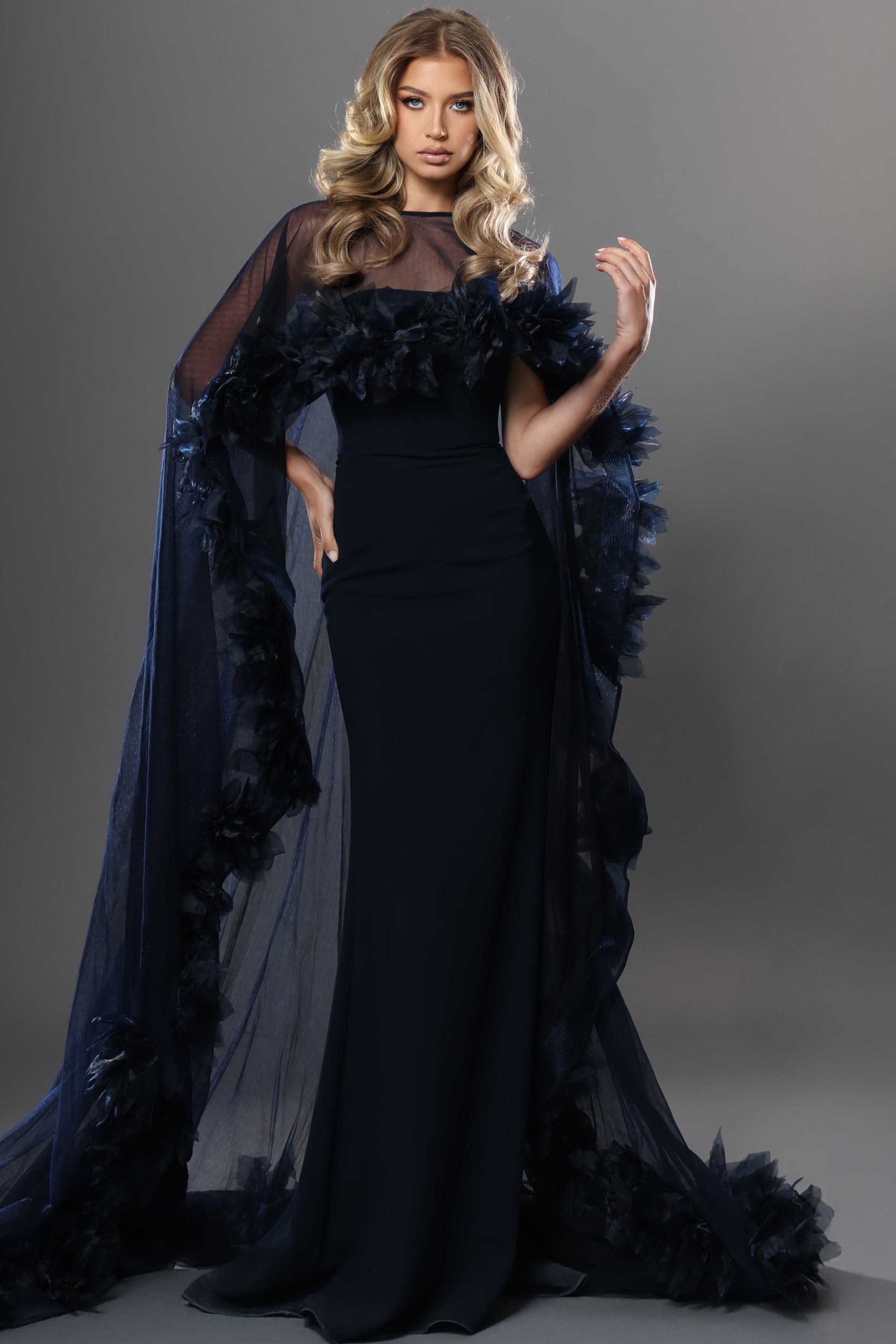 Navy Sheer Cape Gown With 3D Floral Trim 44321 | Jovani