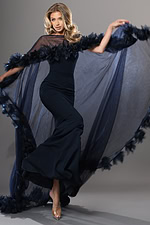 navy sheer cape gown with 3d floral trim