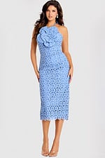 Sophisticated floral lace dress with body-hugging silhouette and sheer texture