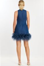 Back View of Sleeveless Blue Dress with Feather Trim