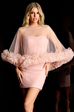 Sheer tulle mini dress with ruffled cape overlay