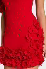 Close-up of red floral appliqués and rhinestone embellishments