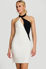Front View Of Two-Tone Mini Dress With Side Cutout And High Neck Strap