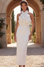 Backless halter midi dress with sleek fitted design