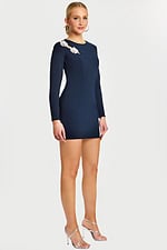 fitted bodice long sleeve mini dress 48665