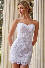 strapless fitted lace dress 48689