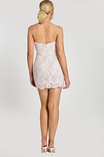 fitted bodice mini lace dress 48689