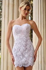 short lace fitted dress 48689