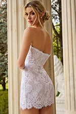 strapless lace fitted dress 48689