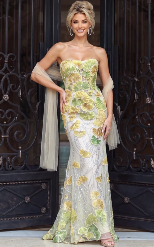 sheer multi color beaded dress