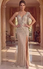 elegant evening gown rear view with zipper closure and flared hem