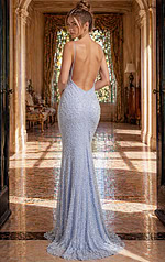 backless beaded dress 52670