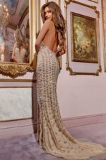 Back view of D5704 nude evening gown showcasing intricate embellishments