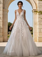 floral applique v neckline ball gown JB42323