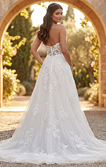 Timeless A line lace gown with intricate floral appliqué and airy layered skirt