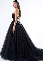 Elegant two tone tulle ball gown with appliqué bodice