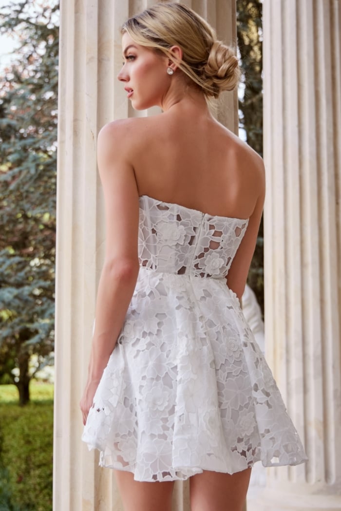 lace strapless fit and flare dress JB45914