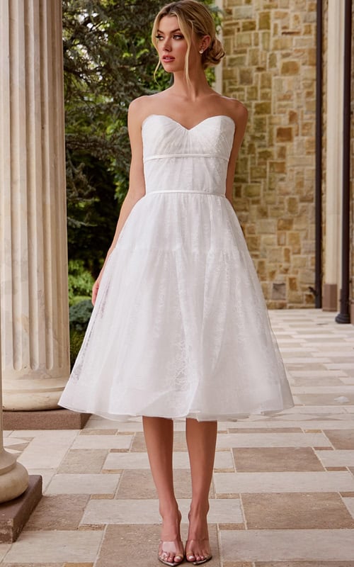 midi strapless fit and flare dress JB48316