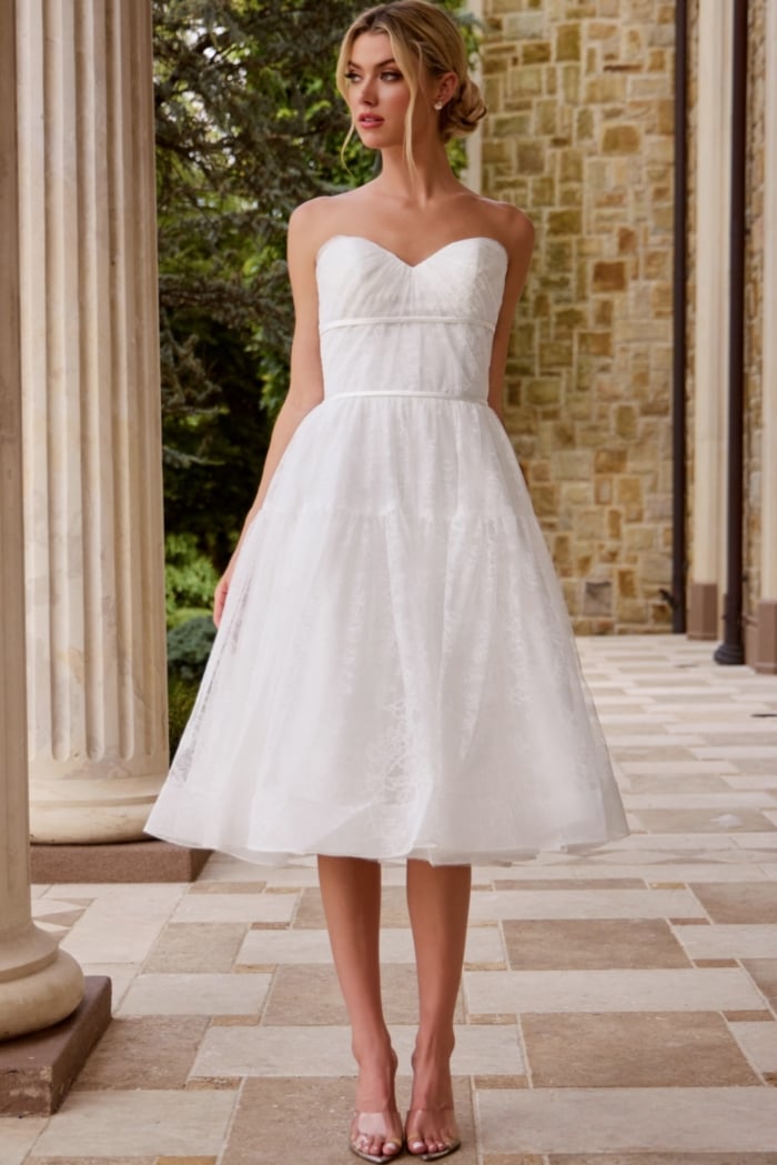 midi strapless fit and flare dress JB48316