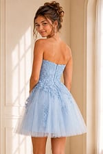 back view of light blue floral lace dress with tulle skirt and zip back