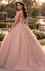 Blush lace ball gown