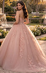 Floral appliqué ball gown