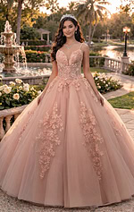 Lace-up back blush gown