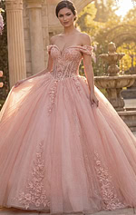 Pink corset tulle ball gown