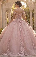 Blush lace appliqué ball gown