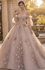Champagne embellished ball gown
