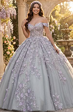 Glitter tulle embroidered ball gown