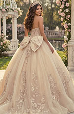 Champagne embroidered ball gown with crystal bodice and voluminous tulle skirt