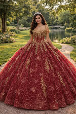 Burgundy ball gown with gold glitter embroidery and corset bodice