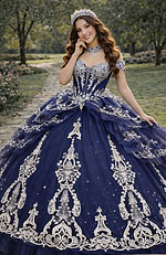 Navy quinceañera ball gown with embellished bodice and embroidered tulle overlay