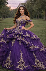 Purple glitter tulle ball gown with ornate gold appliqués and corset bodice