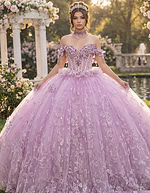 Embellished corset ball gown